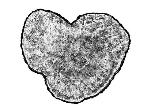 Wood texture cross section of tree rings Stock Illustration