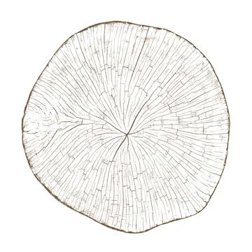 Wood texture cross section of tree rings イラスト素材