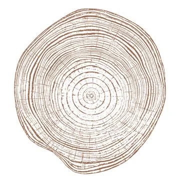 Wood texture cross section of tree rings Stock Illustration