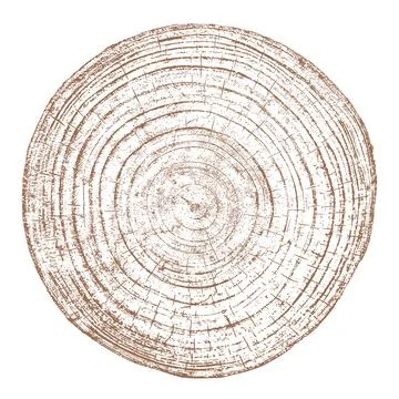 Wood texture cross section of tree rings Stock Illustration