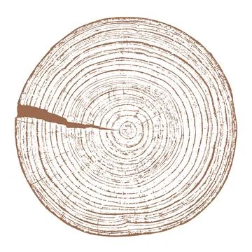 Wood texture cross section of tree rings Stock Illustration