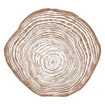 Wood texture cross section of tree rings Stock Illustration