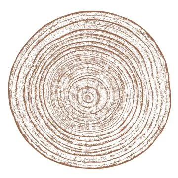 Wood texture cross section of tree rings Stock Illustration