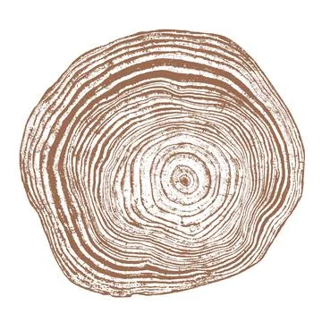 Wood texture cross section of tree rings Stock Illustration