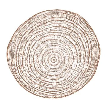 Wood texture cross section of tree rings Stockillustratie