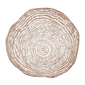 Wood texture cross section of tree rings Stock Illustration