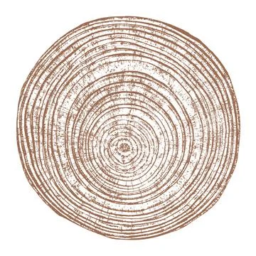 Wood texture cross section of tree rings Stock Illustration