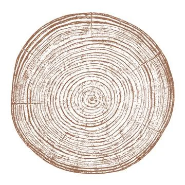 Wood texture cross section of tree rings Stockillustratie