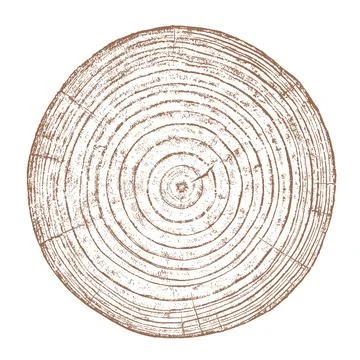 Wood texture cross section of tree rings Stock Illustration