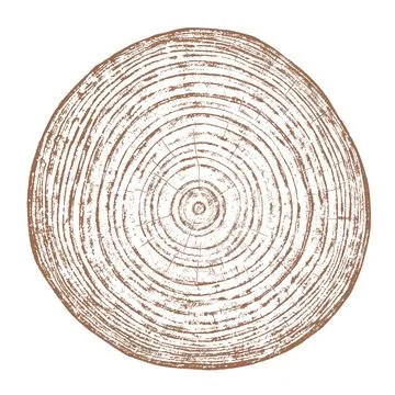 Wood texture cross section of tree rings Stock Illustration