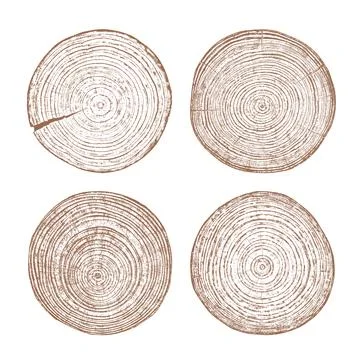 Wood texture cross section of tree rings Stock Illustration