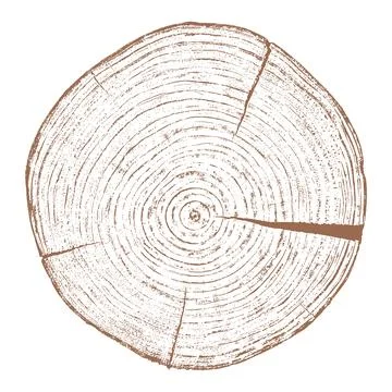 Wood texture cross section of tree rings Stock-Illustration