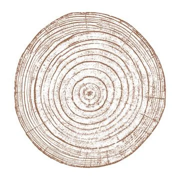 Wood texture cross section of tree rings イラスト素材