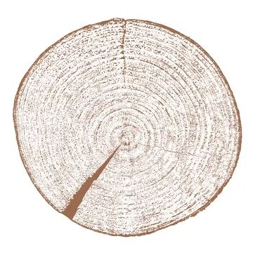 Wood texture cross section of tree rings Stock Illustration