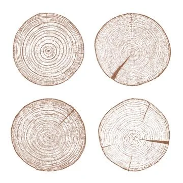 Wood texture cross section of tree rings Stock Illustration