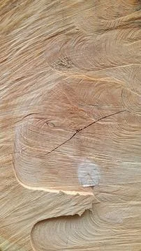 Wood texture. Cross section of a tree. Vintage wood background with cracks Stock Photos