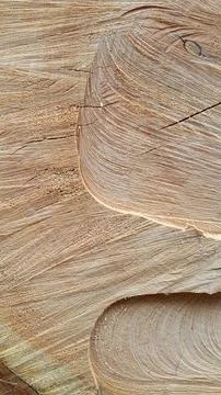Wood texture. Cross section of a tree. Vintage wood background with cracks Foto stock