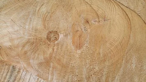 Wood texture. Cross section of a tree. Vintage wood background with cracks Stock Photos