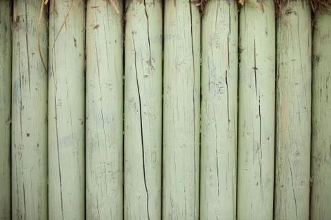 Wood texture of cut tree trunks, close-up Stock Photos