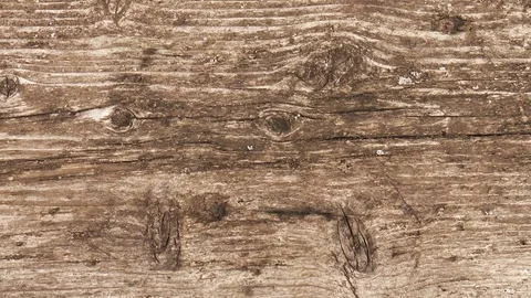 Wood texture Stock Footage 78311100