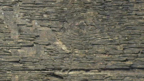 Wood texture Stock Footage 122104620