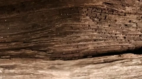 Wood Texture Stock Footage 147107765