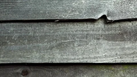 Wood texture Stock Footage 274092258