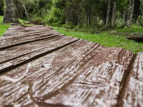 Wood texture in the foreground Stock Photos