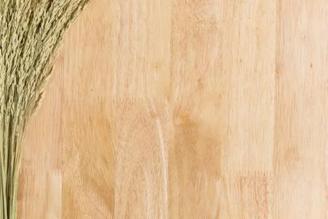 Wood Texture  Frame Background Stock Photos