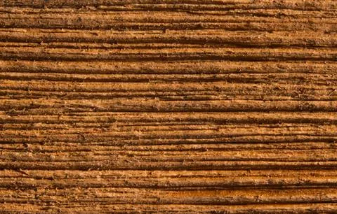 Wood texture grain background, macro of wooden plank Stock Photos