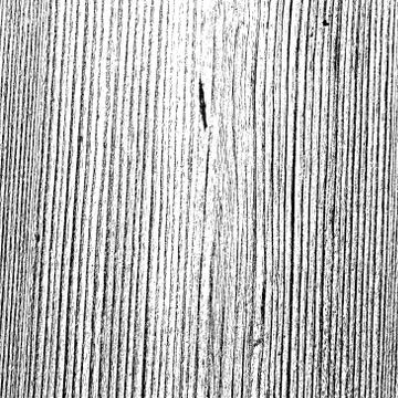 Wood Texture Stock Illustration