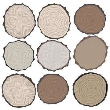 Wood texture Illustrazione stock