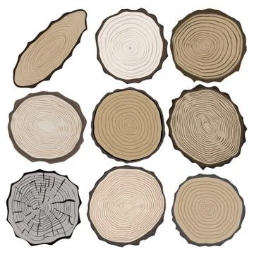 Wood texture Illustrazione stock