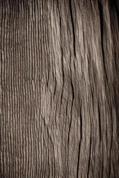 Wood texture Stock Illustration