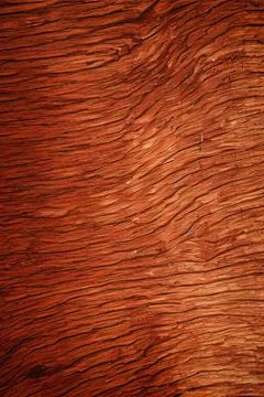 Wood texture Illustrazione stock