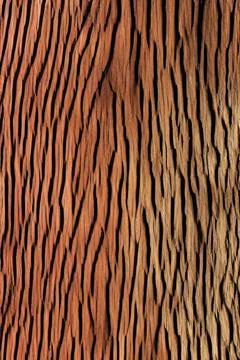 Wood texture Stock Illustration
