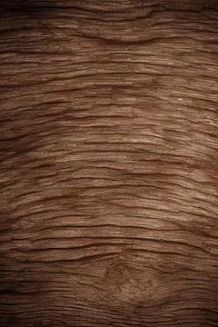 Wood texture Stock Illustration