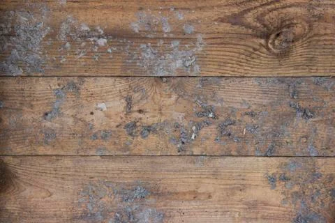 Wood texture - Image Stock Photos