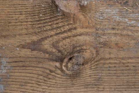 Wood texture - Image Stock Photos