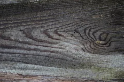 Wood texture - Image Stock Photos