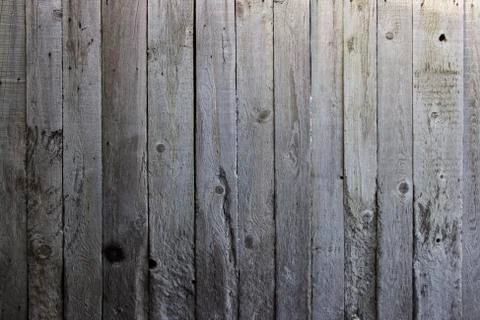 Wood texture - Image Stock Photos