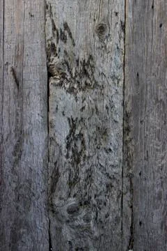 Wood texture - Image Stock Photos
