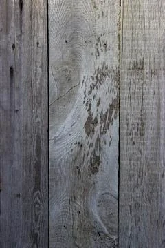 Wood texture - Image Stock Photos