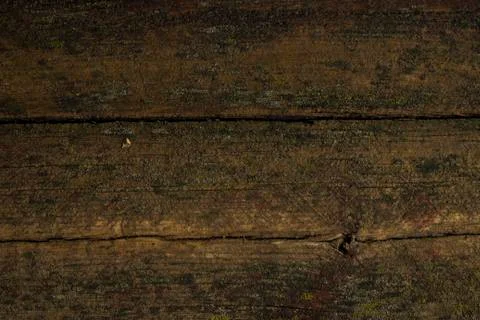 Wood texture - Image Stock Photos