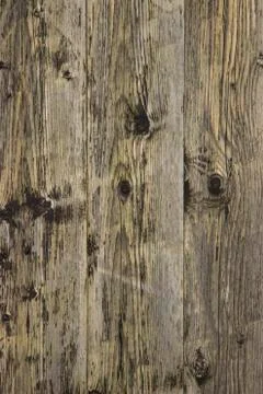 Wood texture - Image Stock Photos