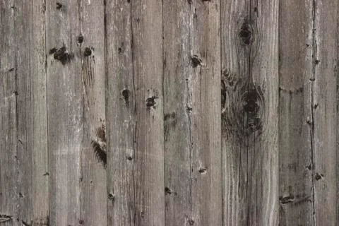 Wood texture - Image Stock Photos