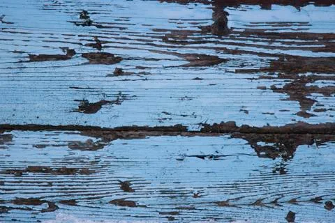 Wood texture - Image Stock Photos