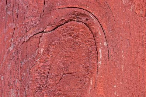Wood texture with natural pattern. Old paint Foto stock