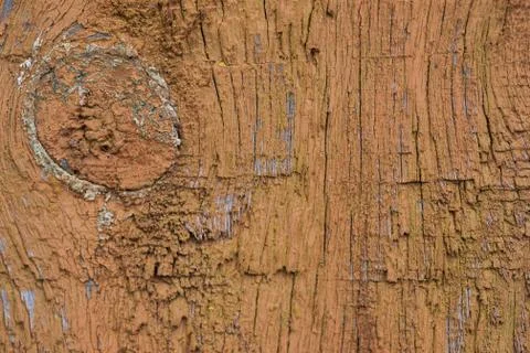 Wood texture with natural pattern. Old paint Stock Photos