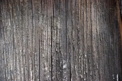 Wood texture with natural pattern. Old paint Stock Photos
